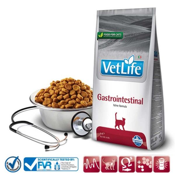 Farmina Cat VetLife Trockenfutter Gastrointestinal