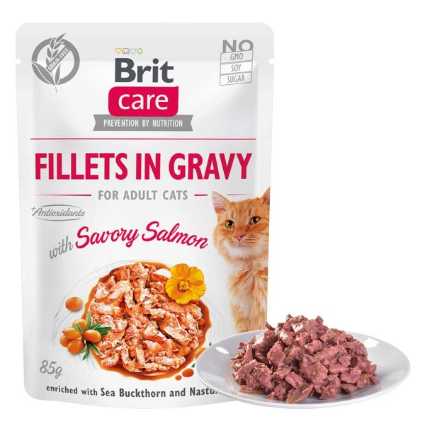 Brit Care Cat Pouch - Filets in Soße mit Lachs